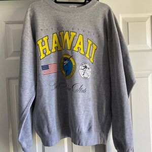Brandy Melville Hawaii Crewneck